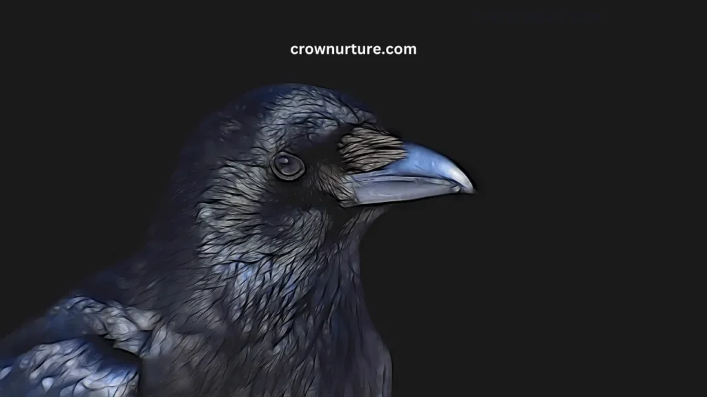 Are Crows Smarter Than Ravens? (Answered) 3 Are Crows Smarter Than Ravens