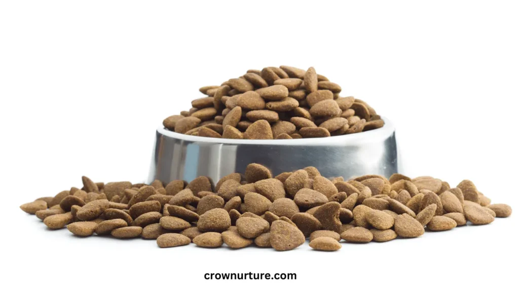 Can Crows Eat Dog Food? (Explained) 2 Can Crows Eat Dog Food