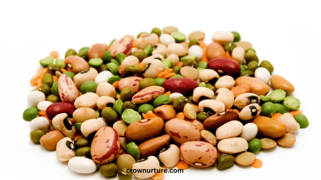 Can Crows Eat Dried Lentils? (Answered) 3 Can Crows Eat Dried Lentils