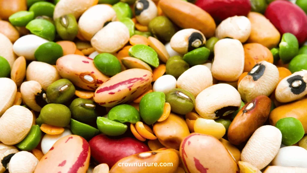 Can Crows Eat Dried Lentils? (Answered) 2 Can Crows Eat Dried Lentils