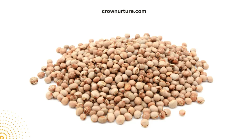 Can Crows Eat Dried Peas? (Answered) 3 Can Crows Eat Dried Peas? (Answered)