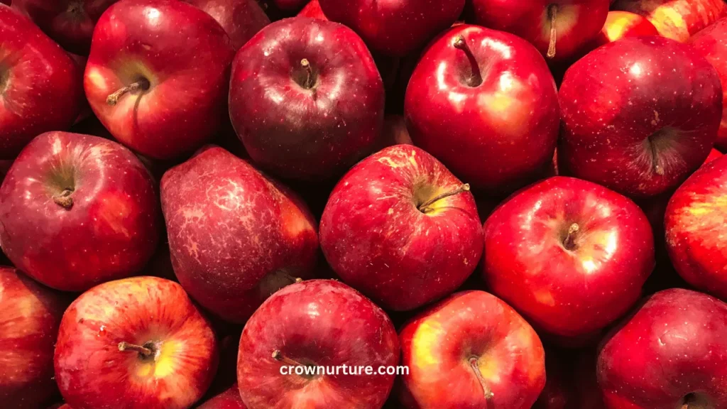Do Crows Eat Apples? (Answered) 2 Do Crows Eat Apples