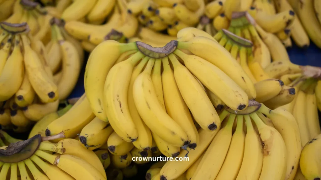 Do Crows Eat Bananas? (Explained) 3 Do Crows Eat Bananas