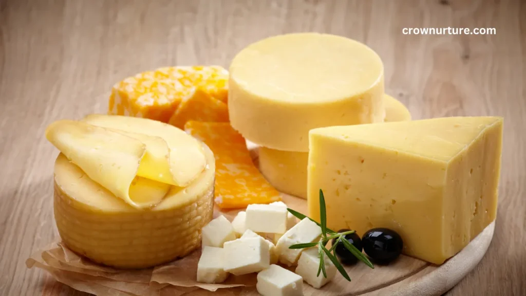Can Crows Eat Cheese? (Explained) 2 Can Crows Eat Cheese