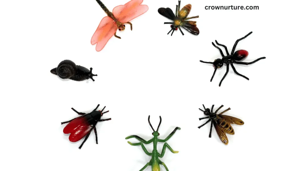 Do Crows Eat Insects? (Explained) 3 Do Crows Eat Insects