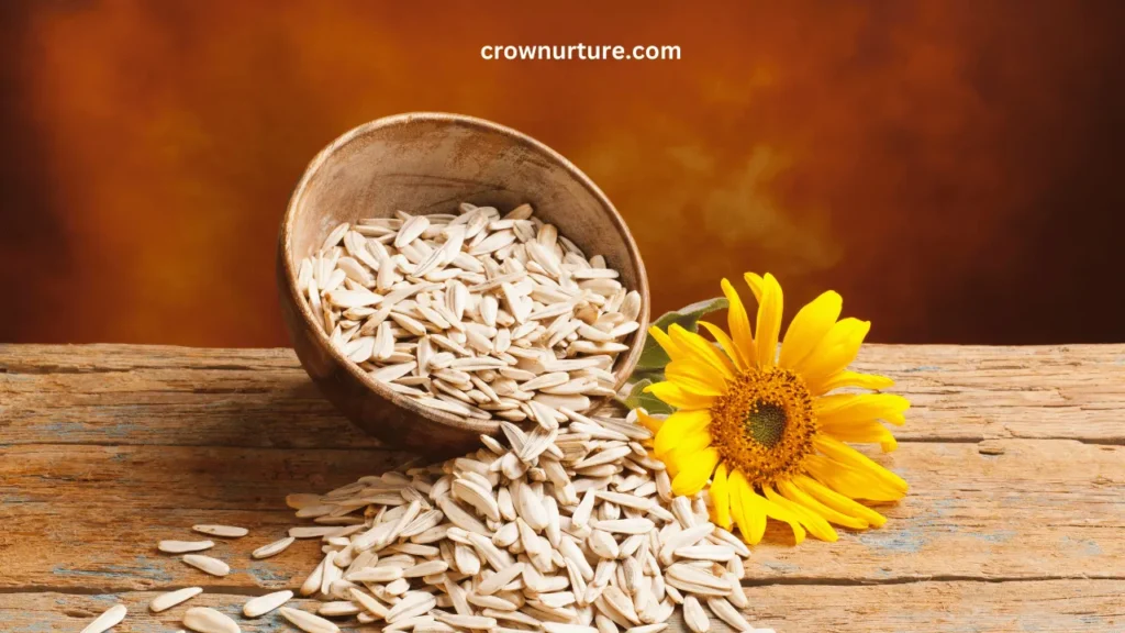 Do Crows Eat Sunflower Seeds? (Explained) 3 Do Crows Eat Sunflower Seeds