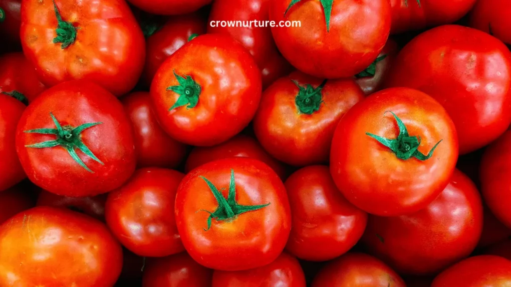 Do Crows Eat Tomatoes? (Answered) 2 Do Crows Eat Tomatoes