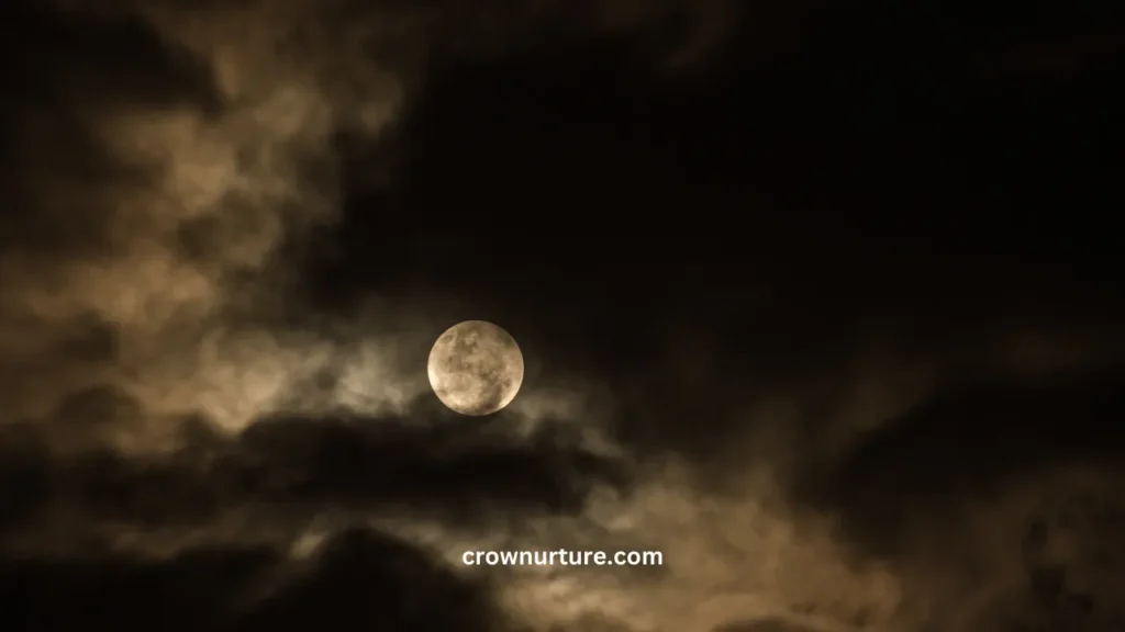 Do Crows Fly At Night? (Explained) 2 Do Crows Fly At Night