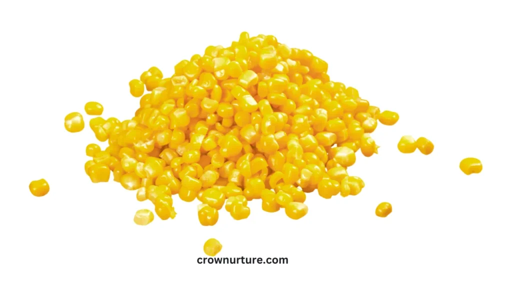Do Crows Like Corn? (Answered) 3 Do Crows Like Corn