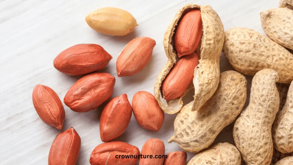 Do Crows Like Peanuts? (Explained) 2 Do Crows Like Peanuts
