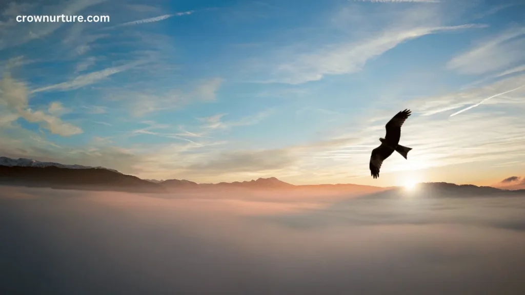 Do Eagles Fly High To Get Rid Of Crows? (Explained) 2 Do Eagles Fly High To Get Rid Of Crows