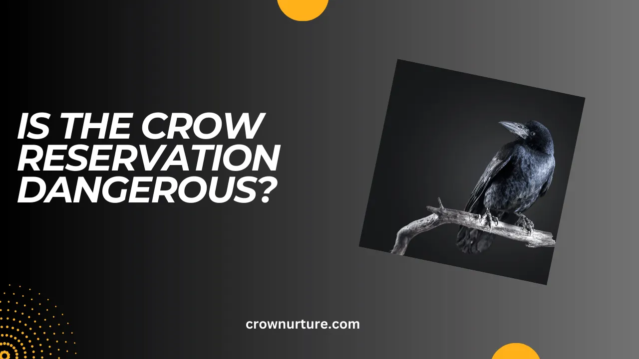 Is The Crow Reservation Dangerous? (Answered)